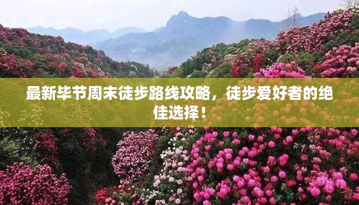 最新毕节周末徒步路线攻略，徒步爱好者的绝佳选择！