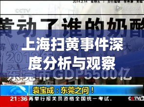 上海扫黄事件深度分析与观察