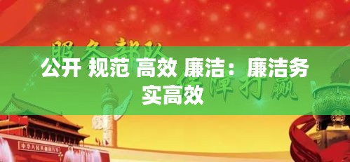 公开 规范 高效 廉洁：廉洁务实高效 