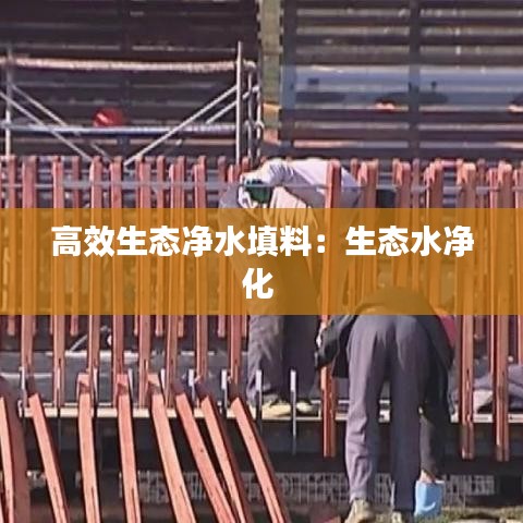 高效生态净水填料：生态水净化 