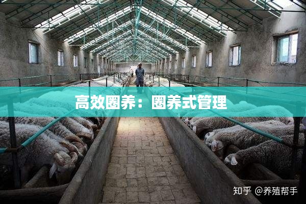 高效圈养：圈养式管理 