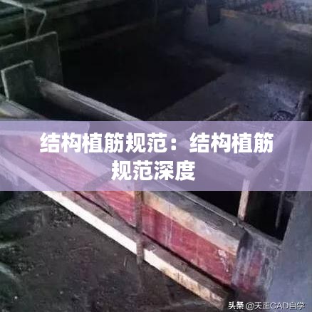 结构植筋规范：结构植筋规范深度 