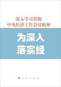 为深入落实经济：贯彻落实经济工作会议精神情况汇报(范文) 