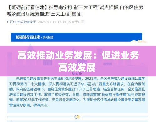 高效推动业务发展：促进业务高效发展 