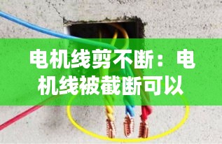 精雕细刻 第2页