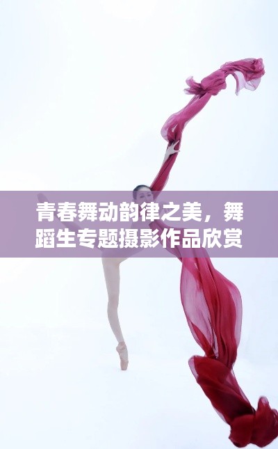 青春舞动韵律之美，舞蹈生专题摄影作品欣赏