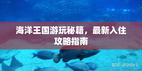 海洋王国游玩秘籍，最新入住攻略指南