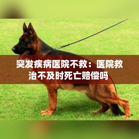 突发疾病医院不救：医院救治不及时死亡赔偿吗 