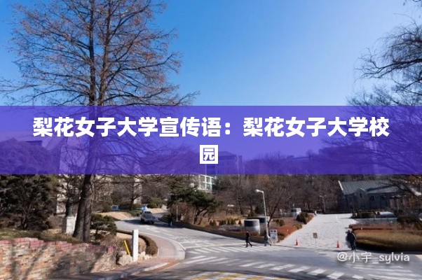 梨花女子大学宣传语：梨花女子大学校园 