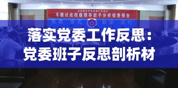 落实党委工作反思：党委班子反思剖析材料 