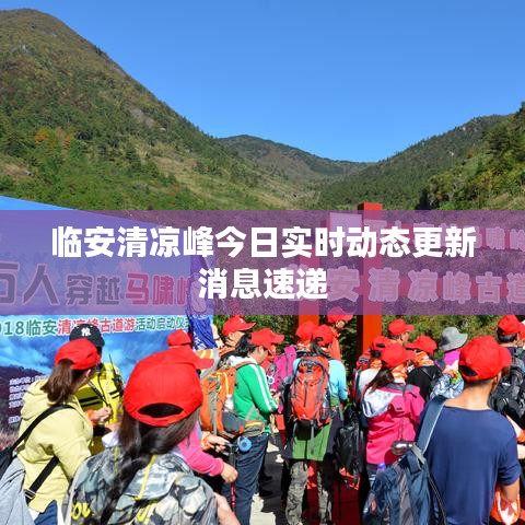 临安清凉峰今日实时动态更新消息速递