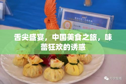 舌尖盛宴，中国美食之旅，味蕾狂欢的诱惑