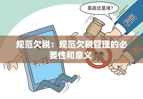 规范欠税：规范欠税管理的必要性和意义 