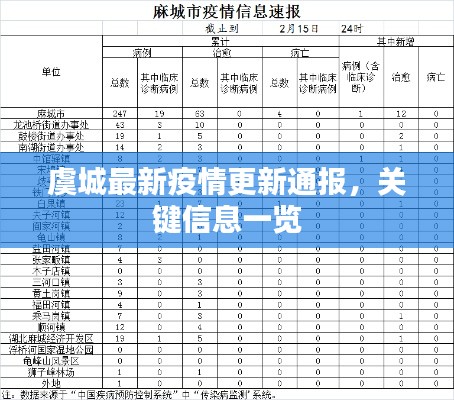 虞城最新疫情更新通报，关键信息一览