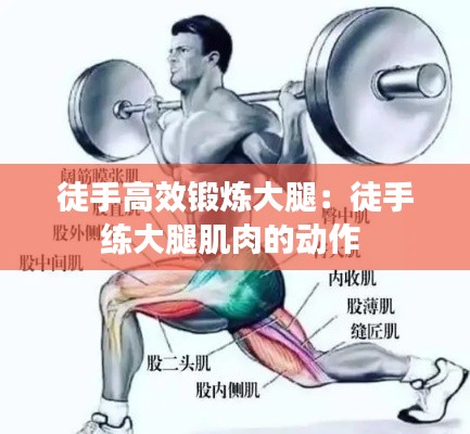 徒手高效锻炼大腿：徒手练大腿肌肉的动作 