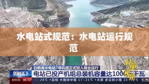 水电站式规范：水电站运行规范 