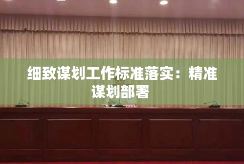 细致谋划工作标准落实：精准谋划部署 