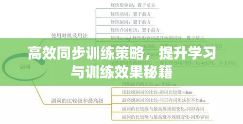 高效同步训练策略，提升学习与训练效果秘籍