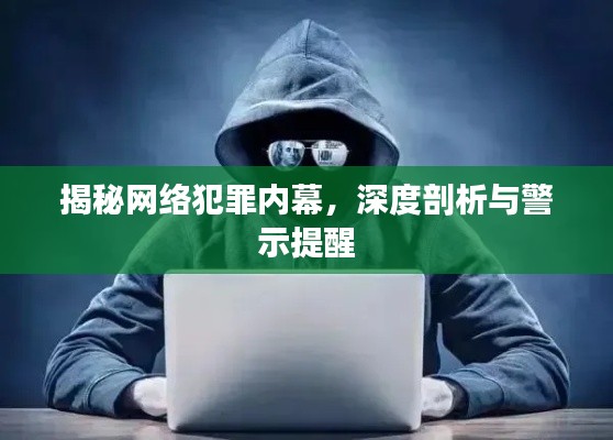 揭秘网络犯罪内幕，深度剖析与警示提醒