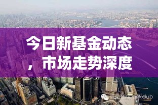 今日新基金动态，市场走势深度解析与投资策略探讨