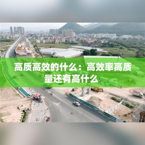 高质高效的什么：高效率高质量还有高什么 