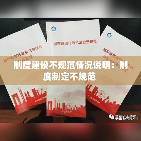 制度建设不规范情况说明：制度制定不规范 