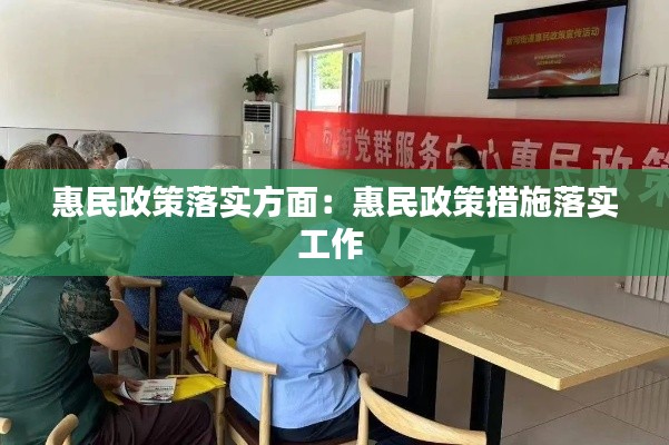 惠民政策落实方面：惠民政策措施落实工作 