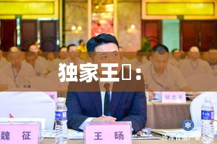 独家王旸： 