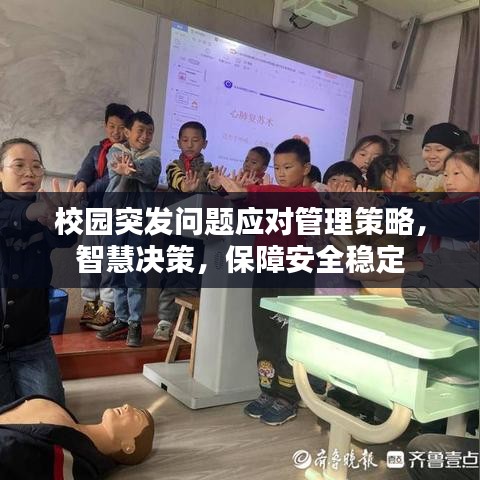 校园突发问题应对管理策略，智慧决策，保障安全稳定