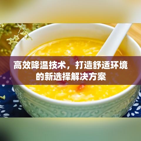 高效降温技术，打造舒适环境的新选择解决方案