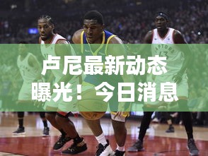 卢尼最新动态曝光！今日消息一网打尽！