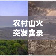 农村山火突发实录，火灾应对与乡村安全守护行动视频集锦