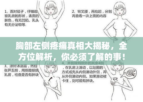 胸部左侧疼痛真相大揭秘，全方位解析，你必须了解的事！