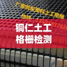 铜仁土工格栅检测规范：土工格栅检测报告 