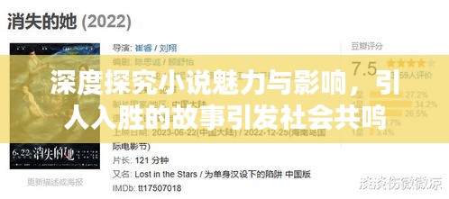 深度探究小说魅力与影响，引人入胜的故事引发社会共鸣
