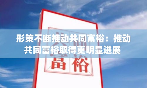 形策不断推动共同富裕：推动共同富裕取得更明显进展 
