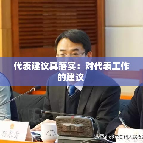 代表建议真落实：对代表工作的建议 