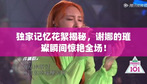 独家记忆花絮揭秘，谢娜的璀璨瞬间惊艳全场！