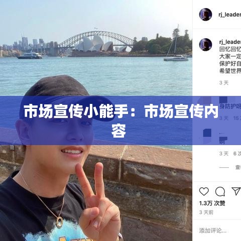 市场宣传小能手：市场宣传内容 