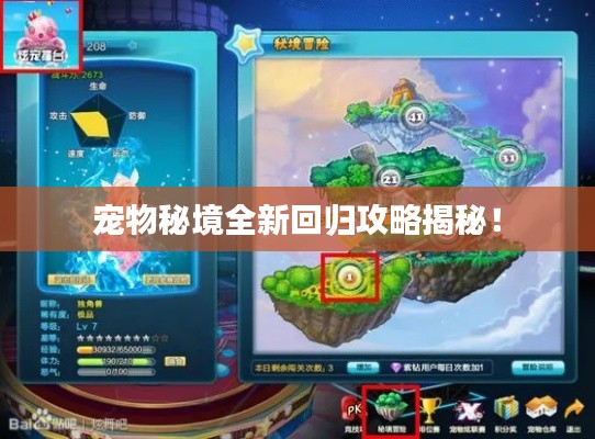 宠物秘境全新回归攻略揭秘！