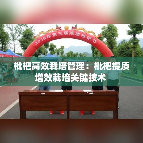 枇杷高效栽培管理：枇杷提质增效栽培关键技术 