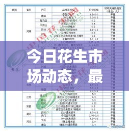 今日花生市场动态，最新消息与价格概览