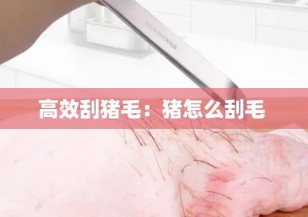 高效刮猪毛：猪怎么刮毛 