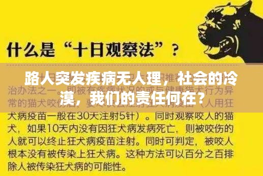 路人突发疾病无人理，社会的冷漠，我们的责任何在？