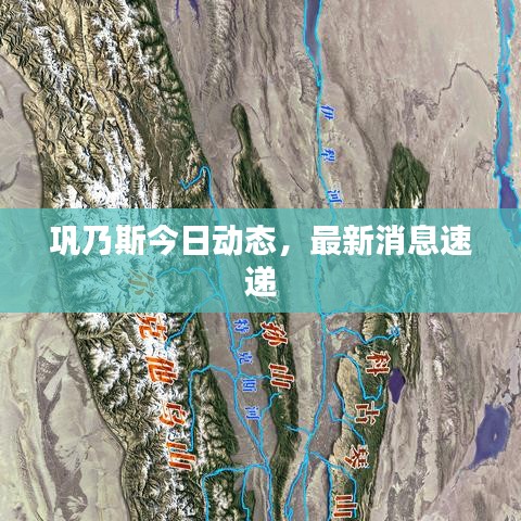 巩乃斯今日动态，最新消息速递