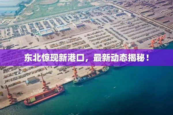 东北惊现新港口，最新动态揭秘！