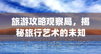旅游攻略观察局，揭秘旅行艺术的未知魅力