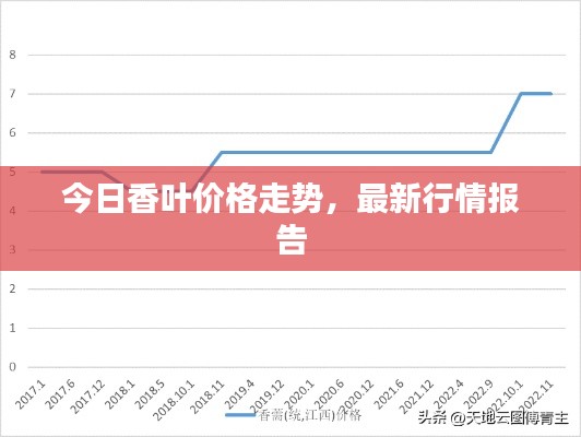 今日香叶价格走势，最新行情报告