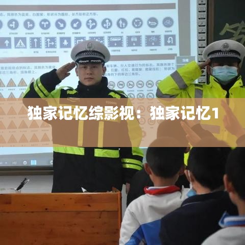 独家记忆综影视：独家记忆1 