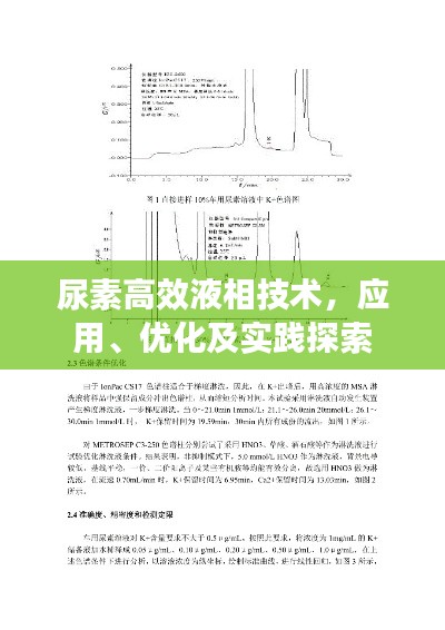 尿素高效液相技术，应用、优化及实践探索